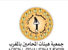 المحامون بالمغرب يعقدون ندوة صحفية بالرباط لعرض موقفهم من قانون المهنة